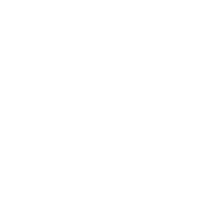 Chicken Icon 